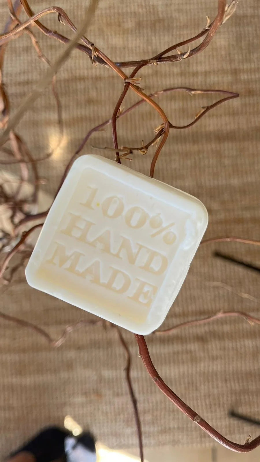 Shampooing solide D.S.