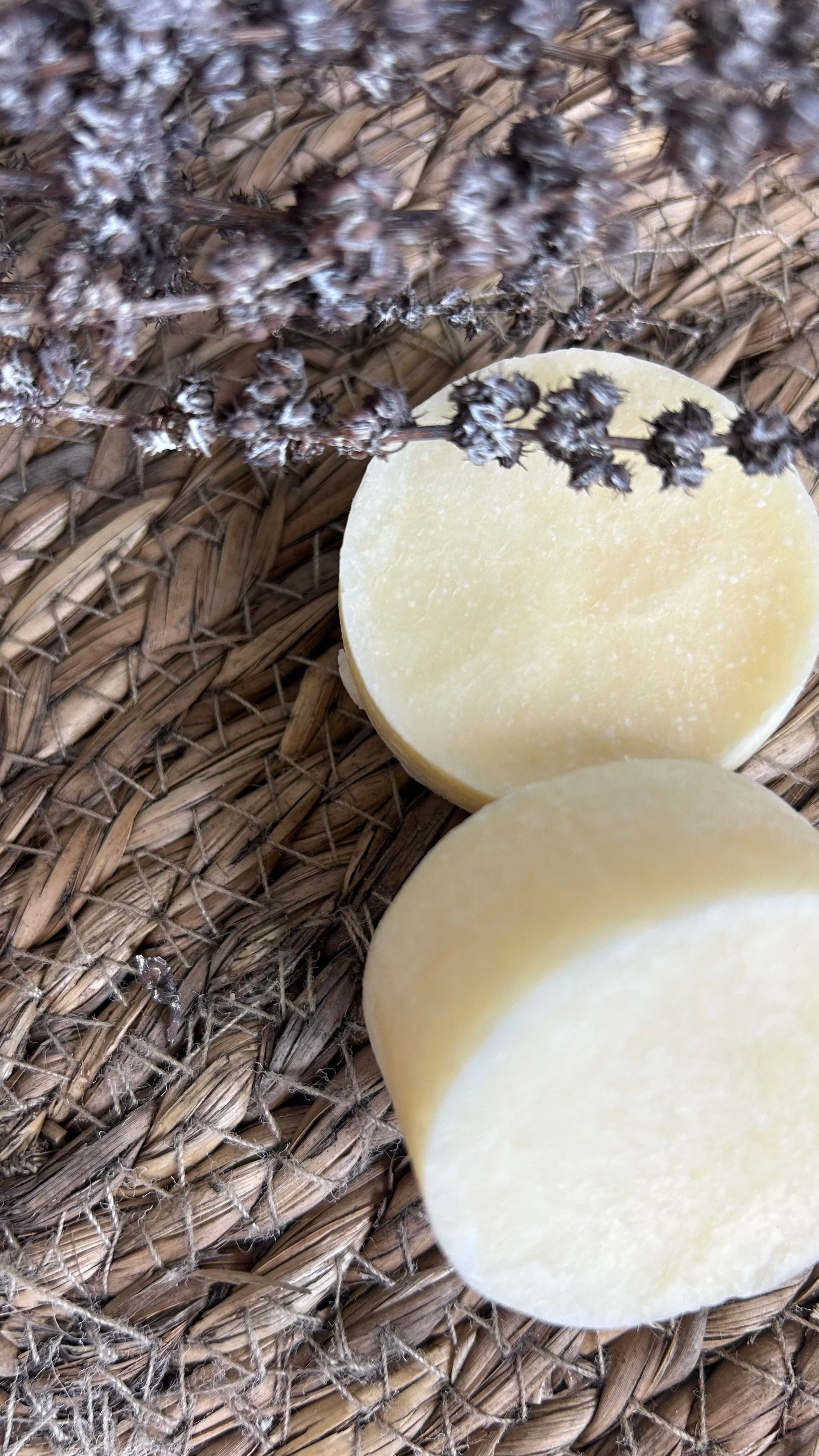 Shampooing solide A.Q.F.