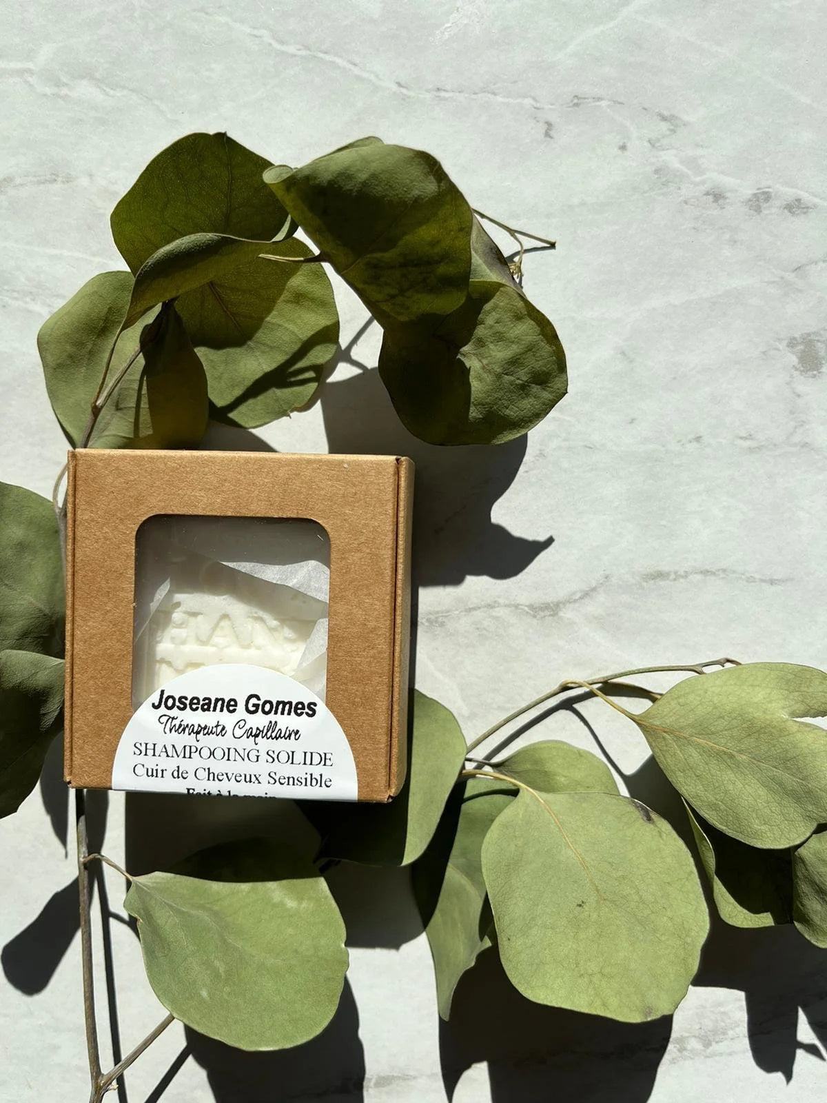 Shampooing solide D.S.